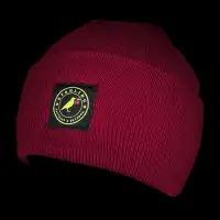 Starling Winter Knit Beanie